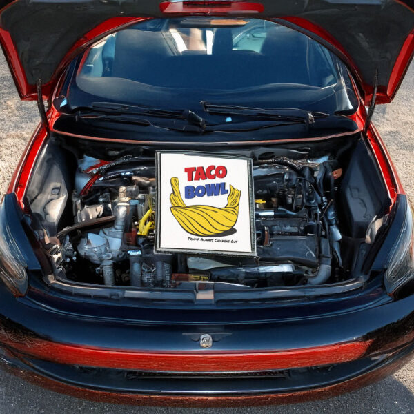TACO Bowl Car Magnet - Funny Anti Trump Magnet